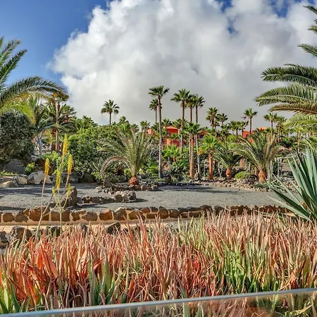 Lägenhet Oasis Royal Corralejo