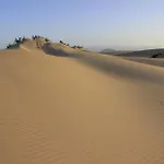 Oasis Royal Apartment *