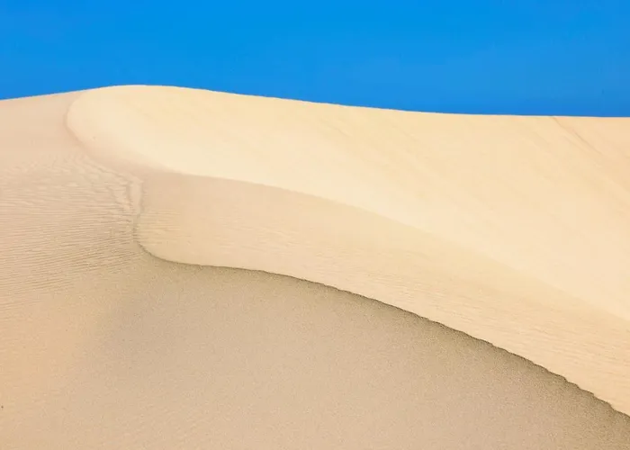 Oasis Royal Lejlighed