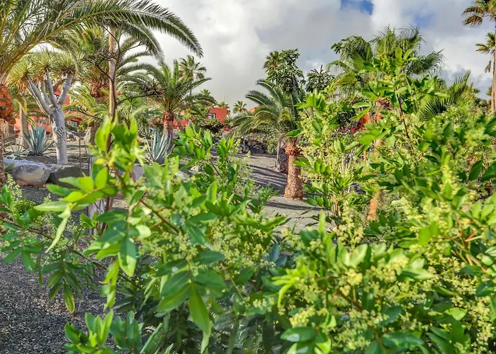 Apartman Oasis Royal *