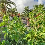Appartement Oasis Royal *