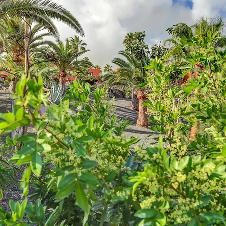 Appartement Oasis Royal *