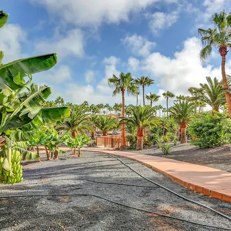 Oasis Royal Apartamento