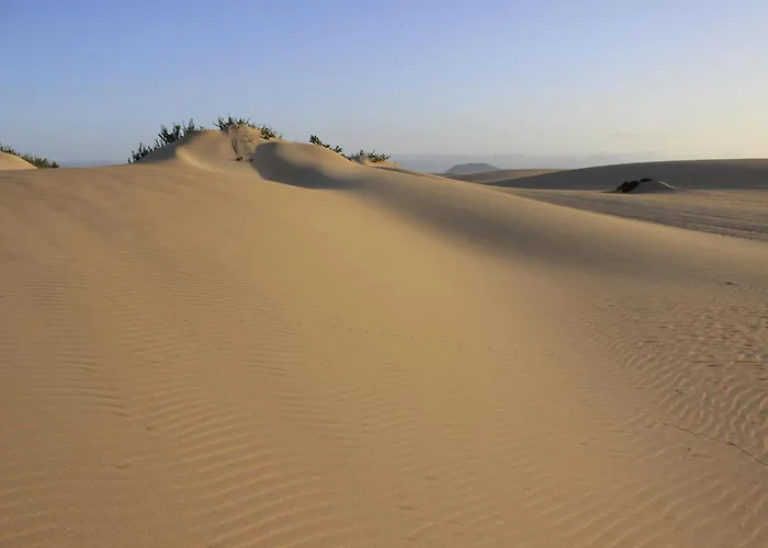 Oasis Royal شقة *