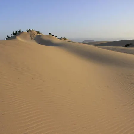 Oasis Royal شقة *